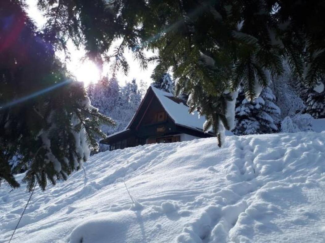 Fairytale Cottage - Peaceful Getaway Near Bled Zgornje Gorje Exterior foto